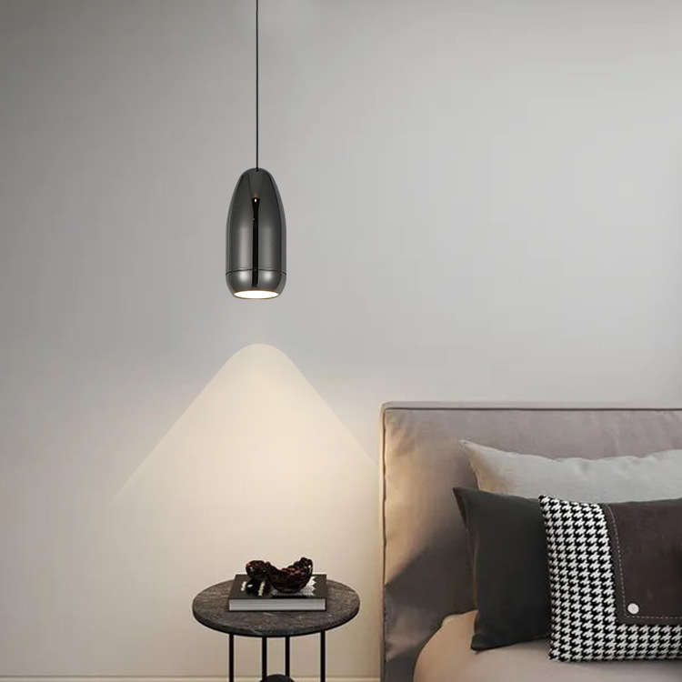 suspended Small pendant Light application 3